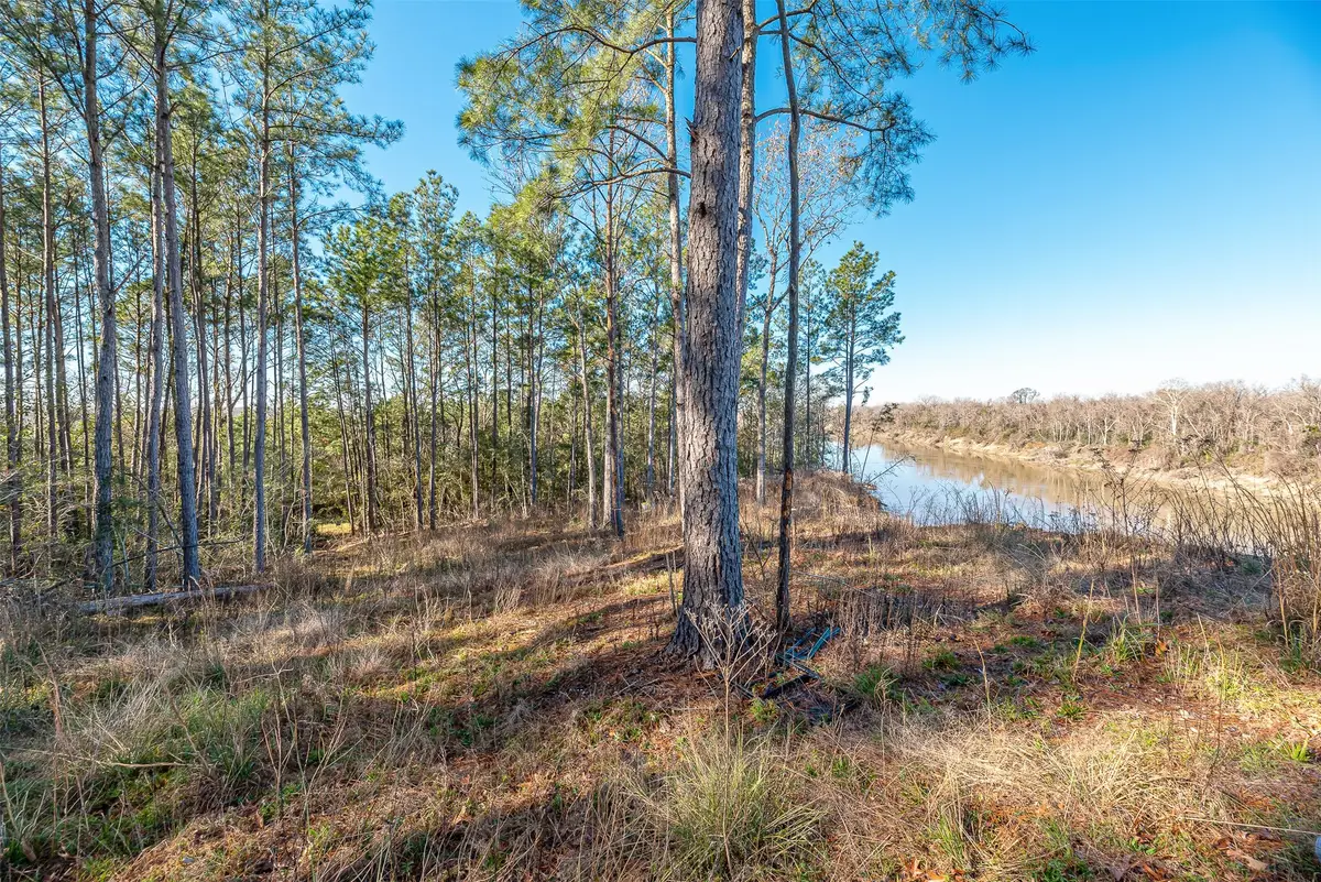 898 Taylor Lake Road, Livingston, TX 77351 - #1