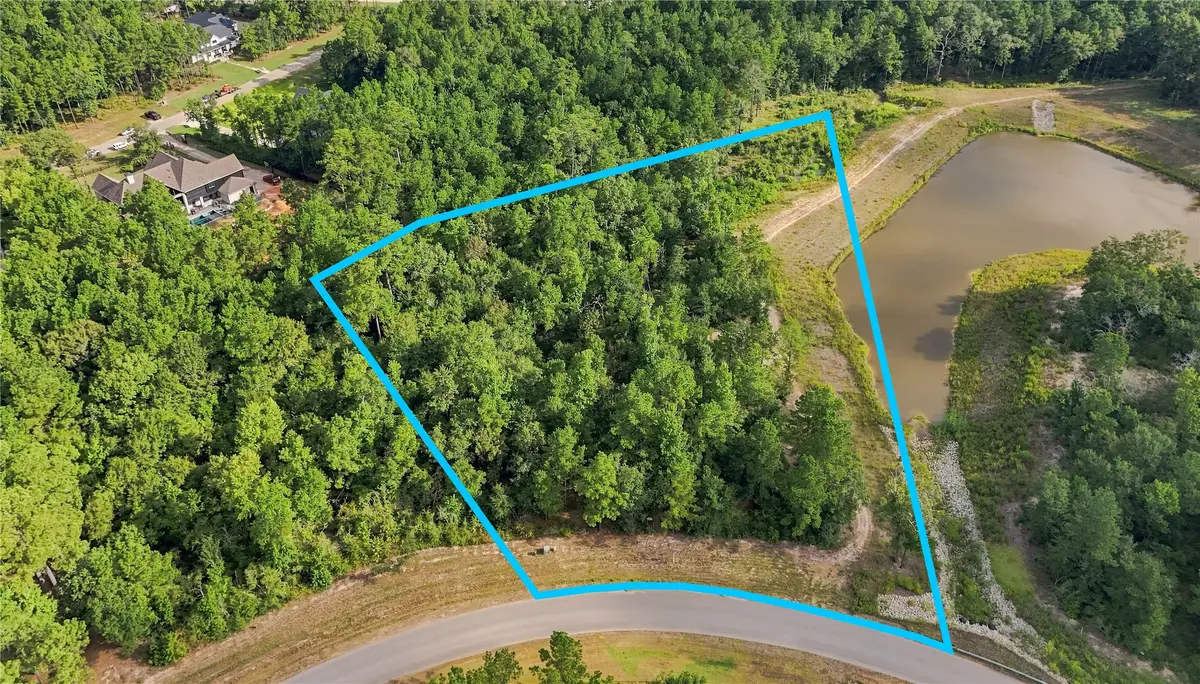 7346 Magnolia Hollow Drive, Montgomery, TX 77316 - #1