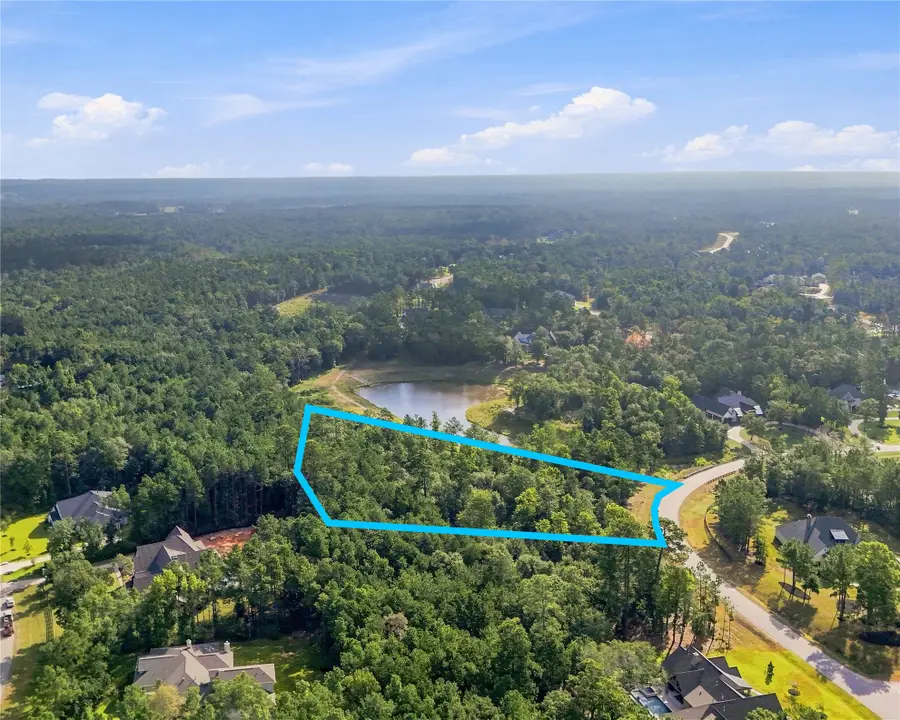 7346 Magnolia Hollow Drive, Montgomery, TX 77316 - #2