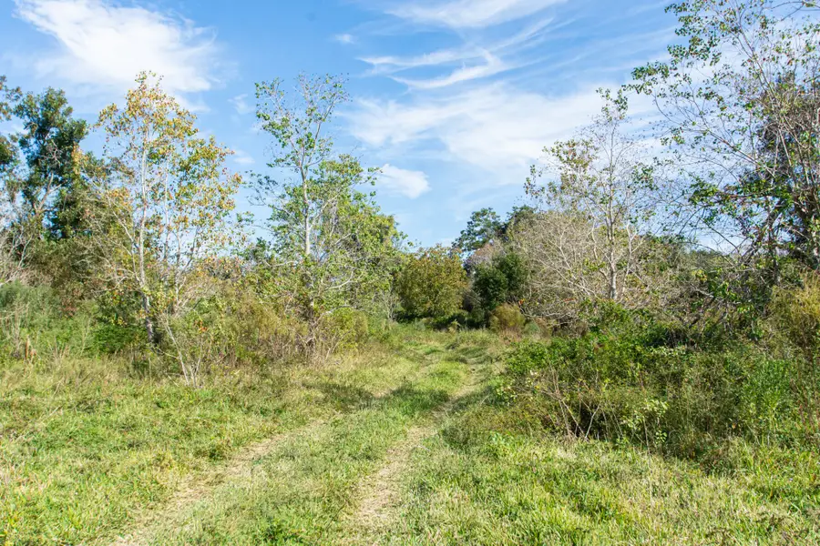 TBD Highway 36, Jones Creek, TX 77541 - #2