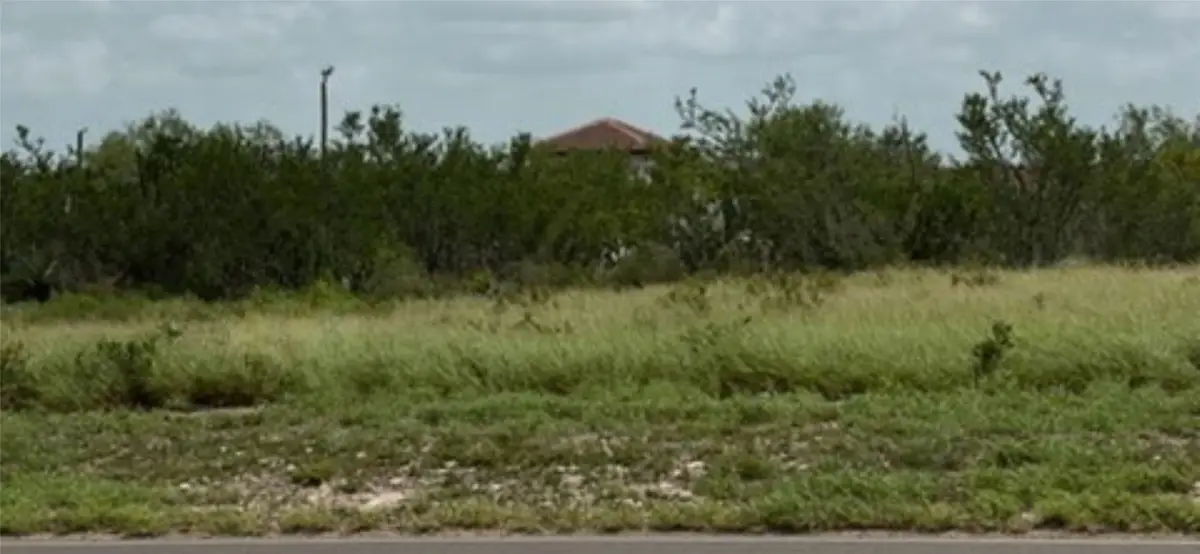 000 W Eisenhower Street, Rio Grande City, TX 78582 - #1