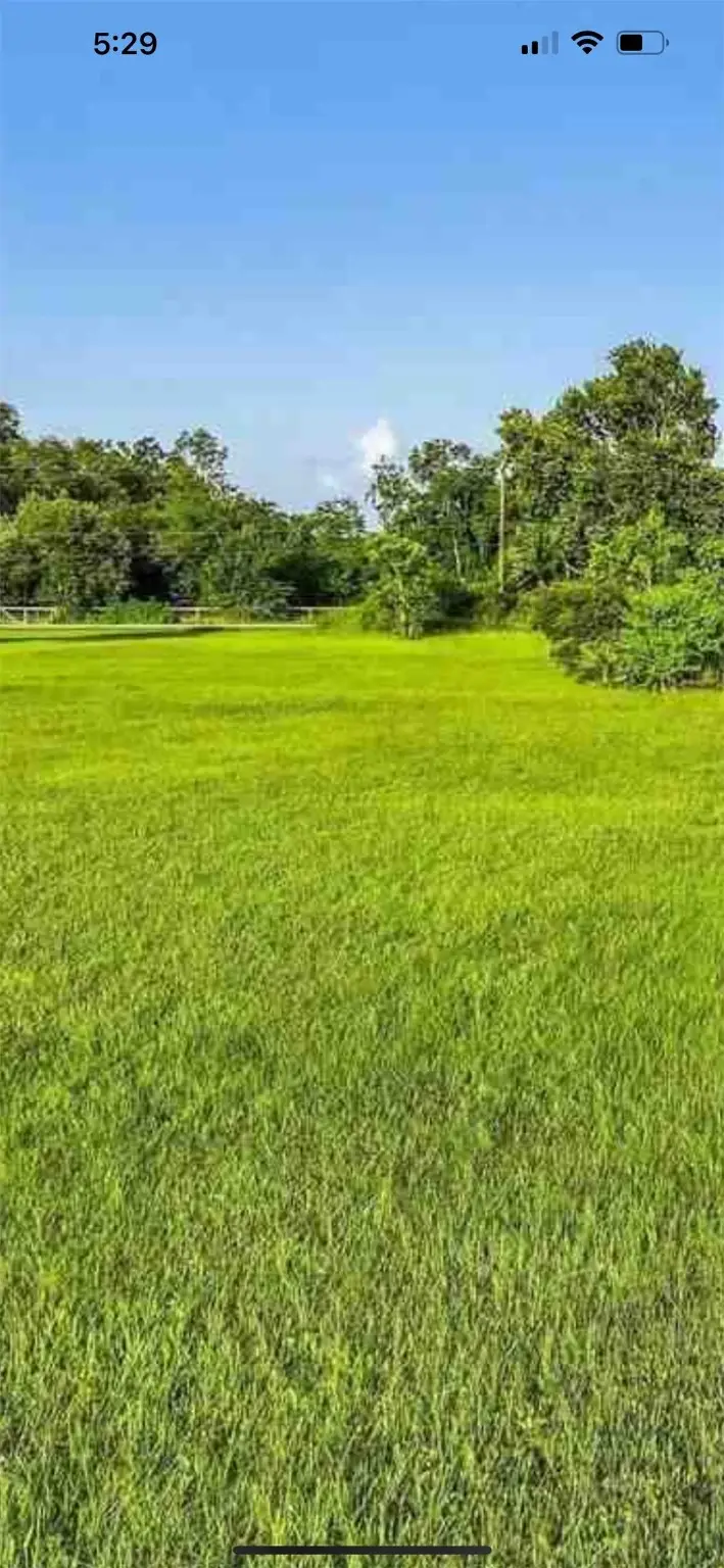 0 Pine St, Santa Fe, TX 77517 - Image #1