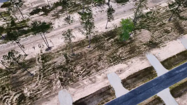 18278 Bunsen Drive, Conroe, TX 77306