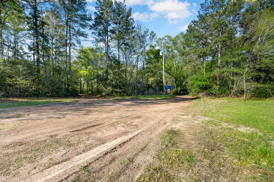 8441 Adcock Acres Drive, Conroe, TX 77303 - Image #3