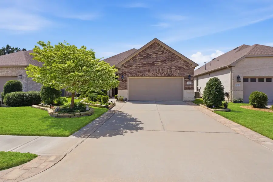 207 Arabian Drive, The Woodlands, TX 77382 - #2