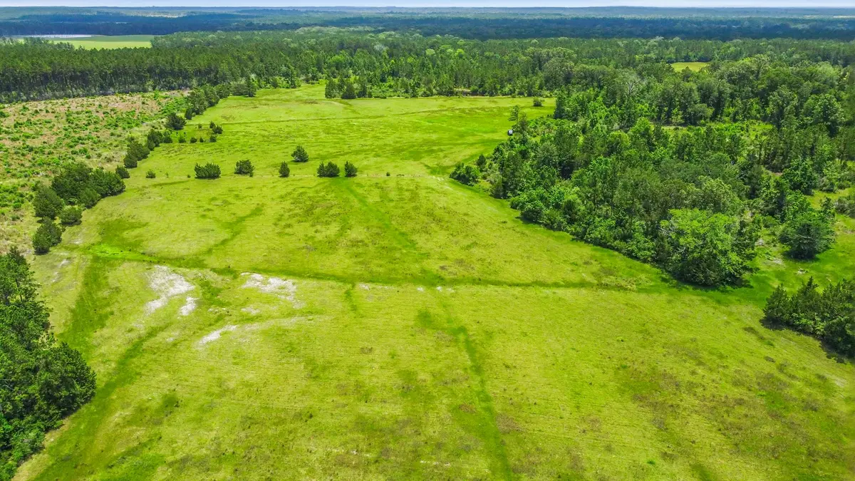 TBD Towns Cemetery Rd, Livingston, TX 77351 - #1