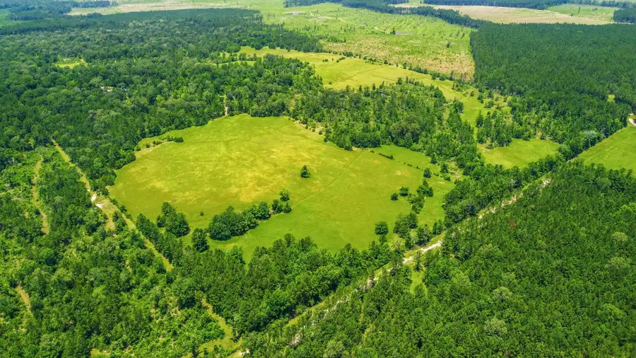 TBD Towns Cemetery Rd, Livingston, TX 77351 - #3