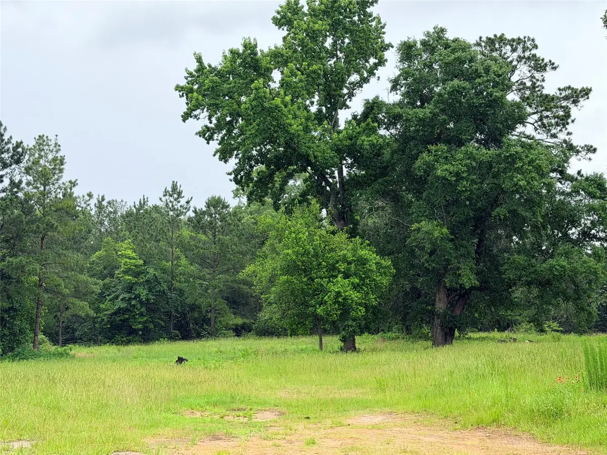 117 Private Road 7512, Woodville, TX 75979 - #1