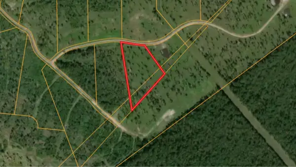 Lot 11 Eagle Falls Boulevard, Trinity, TX 75862