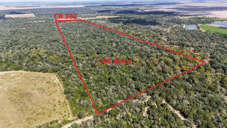 4491 County Road 382, Louise, TX 77455 - Image #2