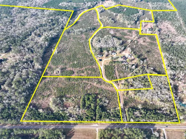 T-9 & 10 Fm 787, Saratoga, TX 77585