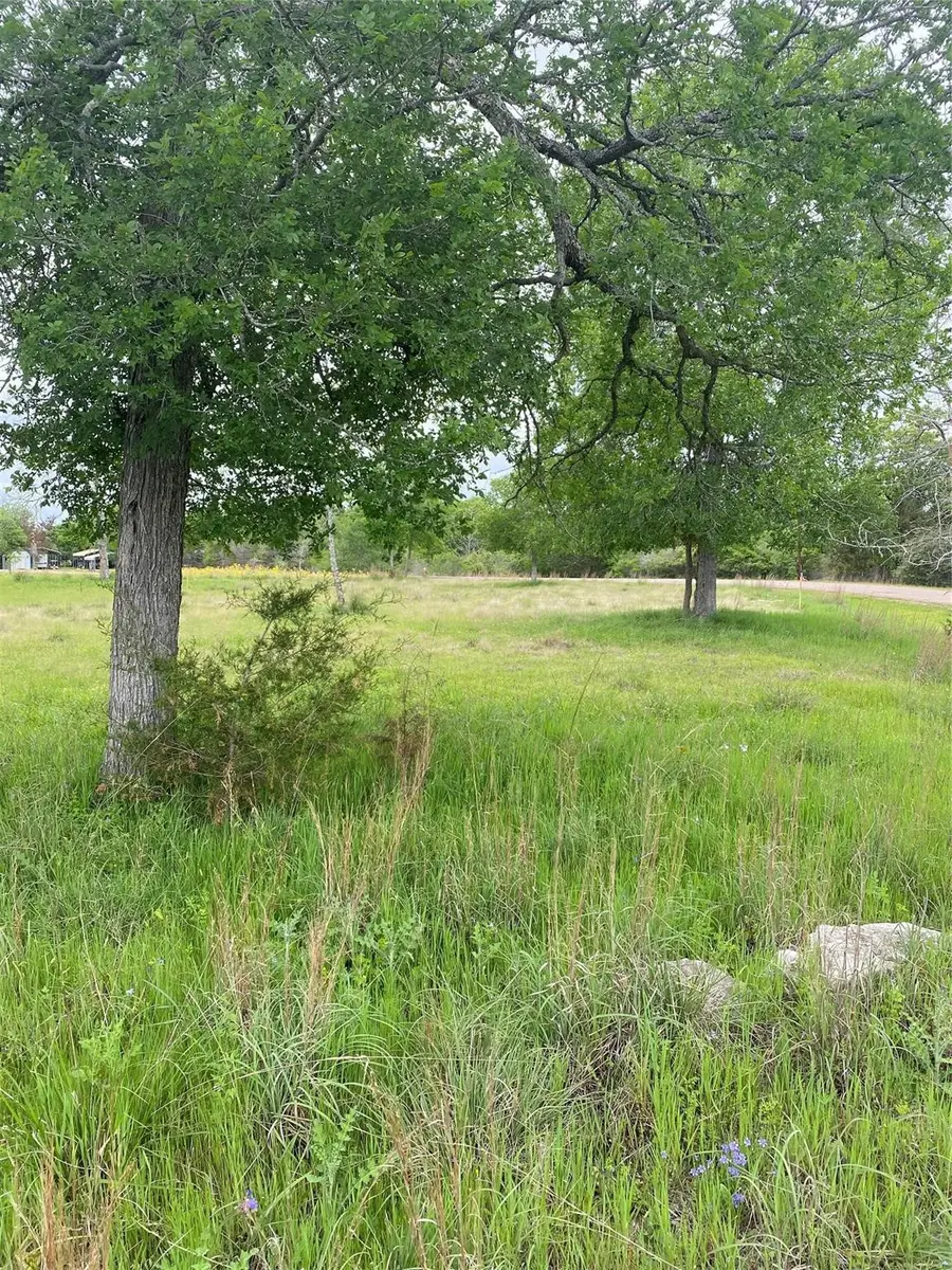 0 Ripple Creek Lane, Somerville, TX 77879 - #2