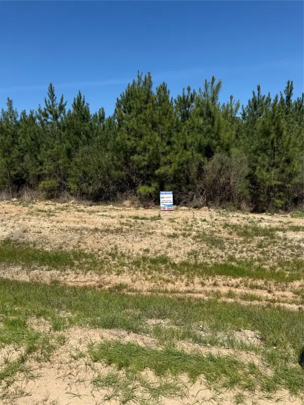 11707 Inspiration Dr Drive, Willis, TX 77378