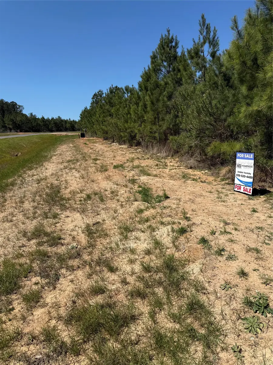 11707 Inspiration Dr Drive, Willis, TX 77378 - #3