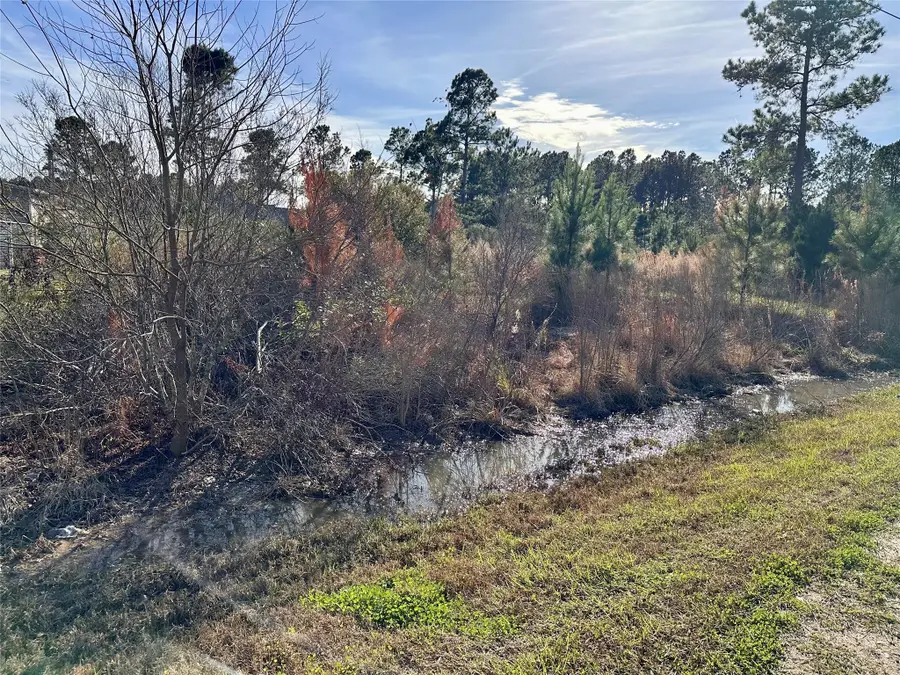 TBD County Road 3479a, Cleveland, TX 77327 - #2