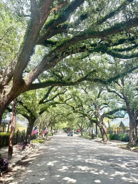 309 Bayland Avenue, Houston, TX 77009 - #3