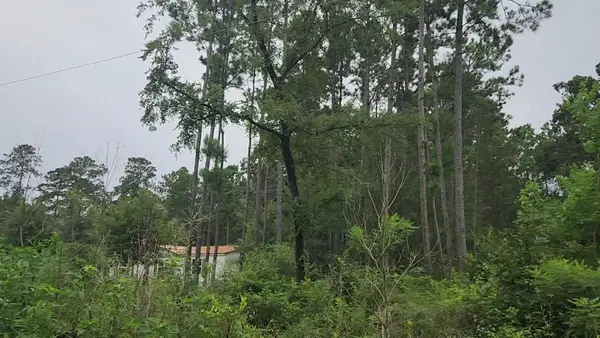 Lot 11 Scarlet Oak Drive, Plantersville, TX 77363