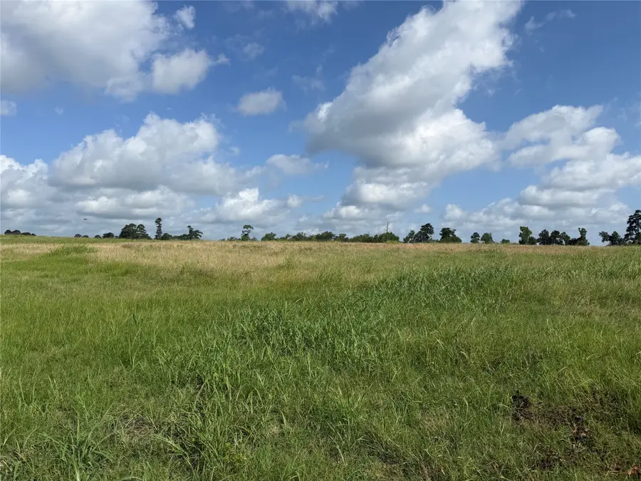 17133 Fm 149, Montgomery, TX 77356 - #2