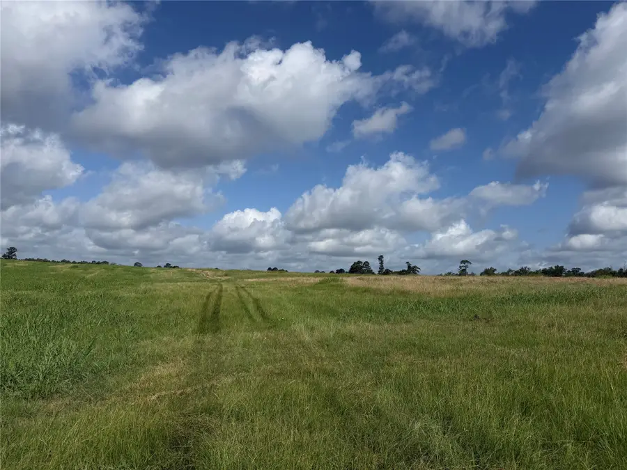 17133 Fm 149, Montgomery, TX 77356 - #3