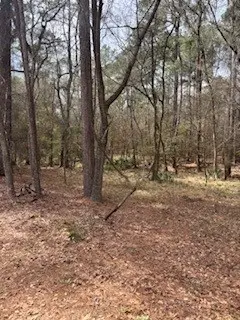 148 Brook Hollow Drive, Huntsville, TX 77340 - #2