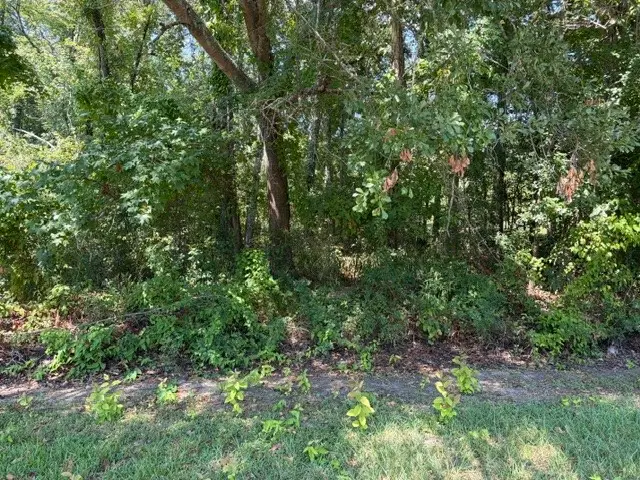 TBD Beaver Den Drive, Coldspring, TX 77331 - #3