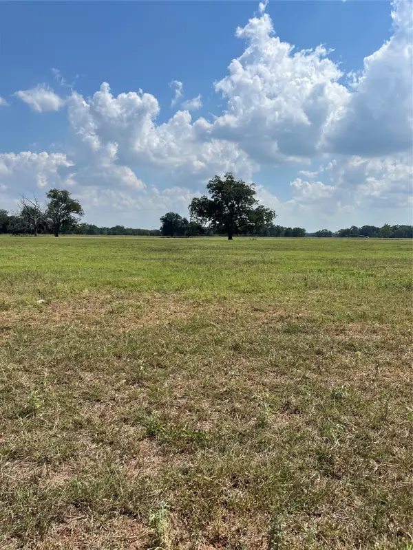 0 Diemer Road, Brookshire, TX 77423