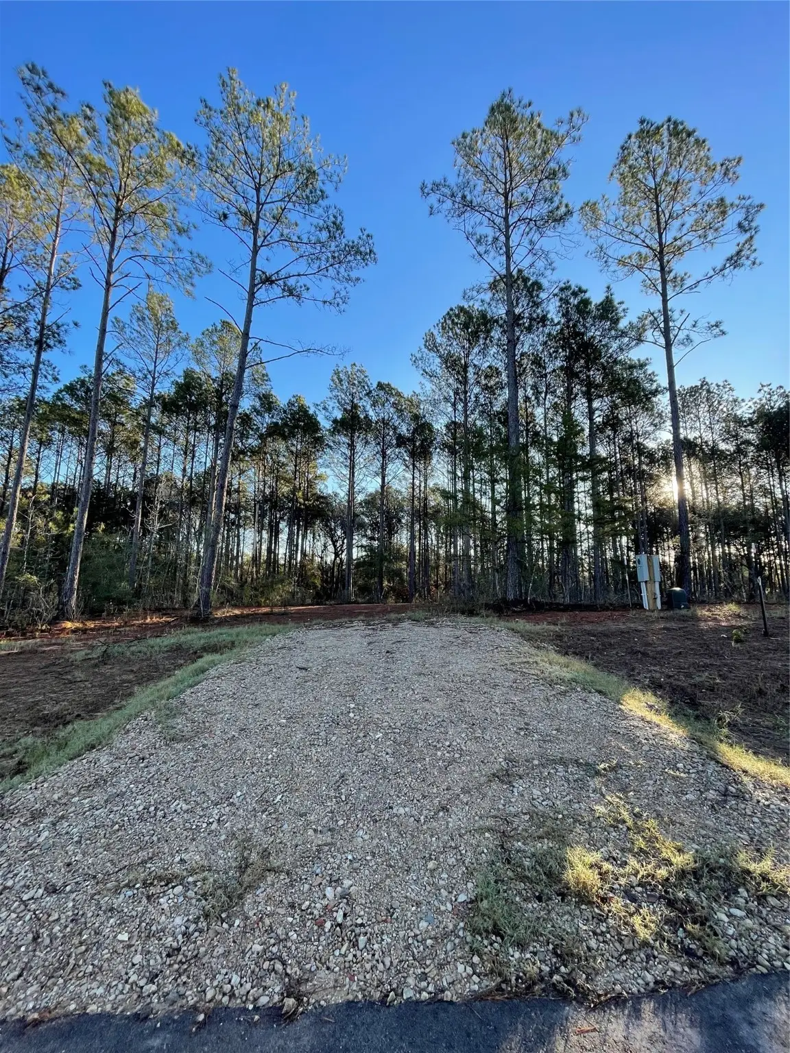 11350 Annie Creek Drive, Willis, TX 77378 - Image #1