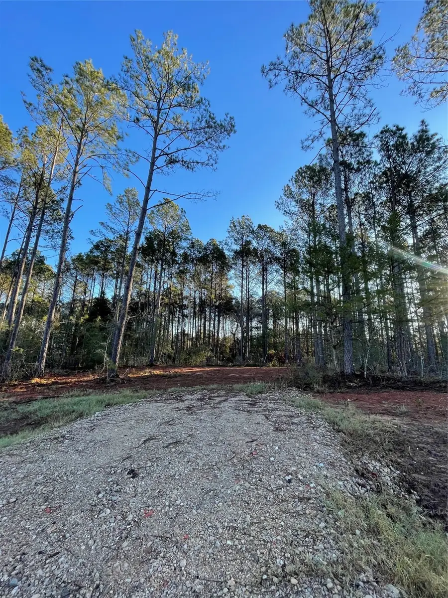 11350 Annie Creek Drive, Willis, TX 77378 - Image #3