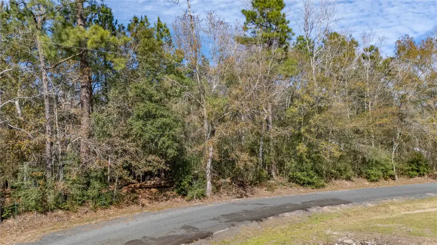 00 Christensen Road, Hankamer, TX 77560 - #2