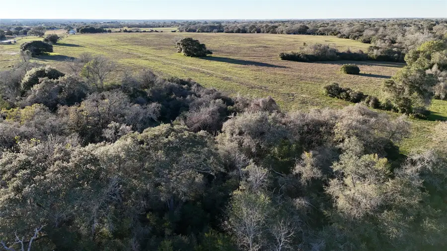 20.1290 Acres, Us Hwy 77 South S, Hallettsville, TX 77964 - #3