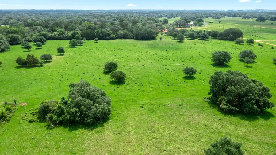 1017 New Ulm Road, Cat Spring, TX 78933 - #2