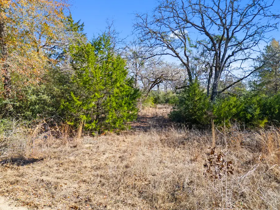 0 Starlight Path, Caldwell, TX 77836 - #2