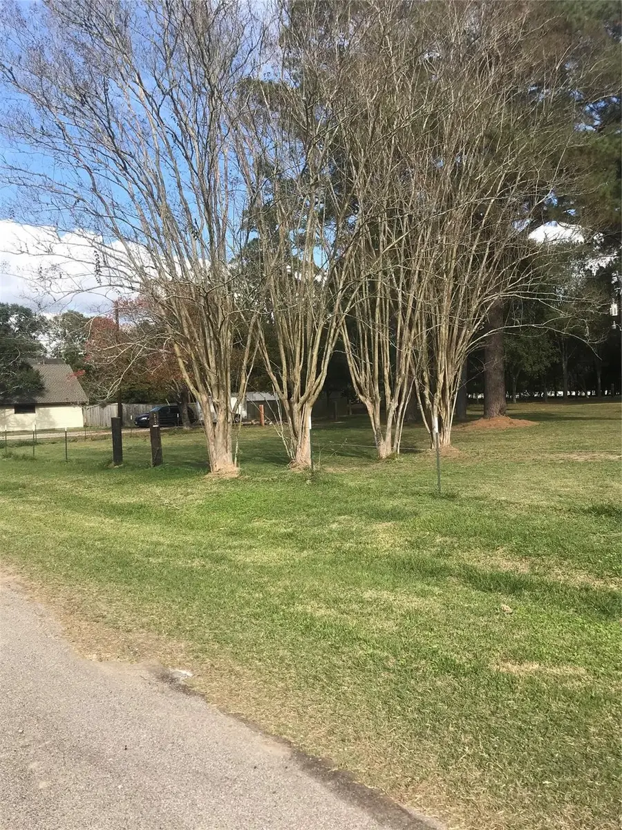 538 Lesa Lane, Spring, TX 77373 - #2