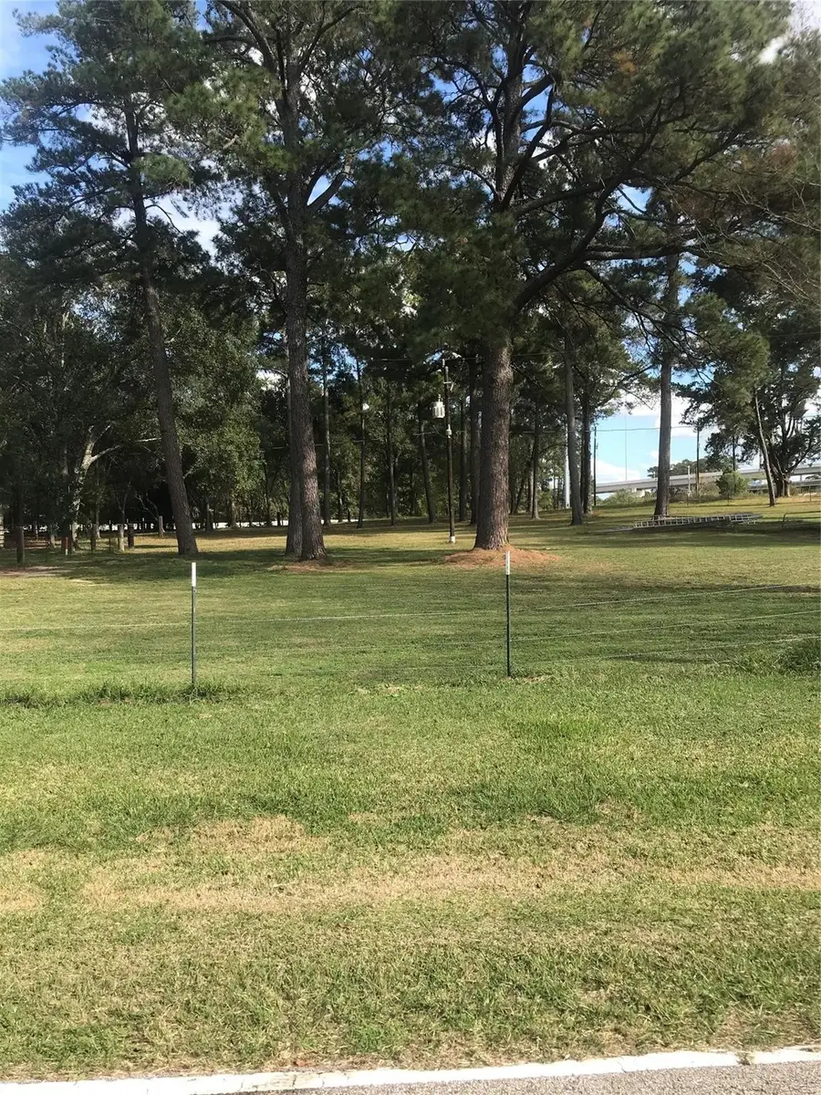 538 Lesa Lane, Spring, TX 77373 - #3