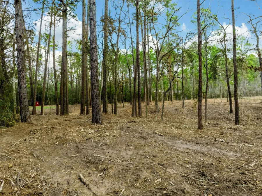 Lot 12 Mayhaw Lane, Plantersville, TX 77363 - #2