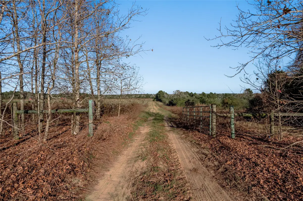 TBD County Road 204, Centerville, TX 75833 - Image #1