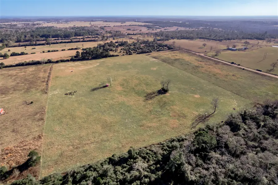 TBD County Road 204, Centerville, TX 75833 - Image #3