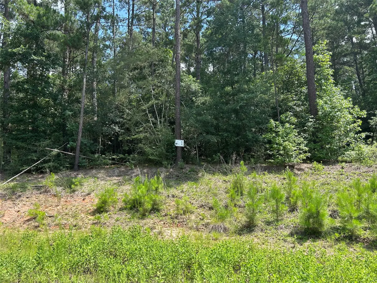 132 Tranquil Lane, Huntsville, TX 77340 - #1