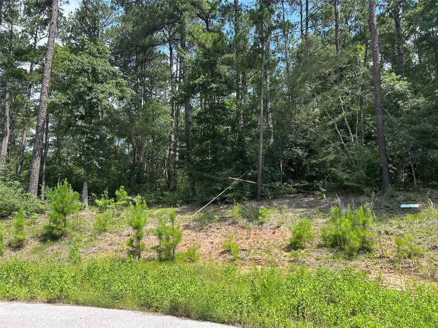 132 Tranquil Lane, Huntsville, TX 77340 - #2