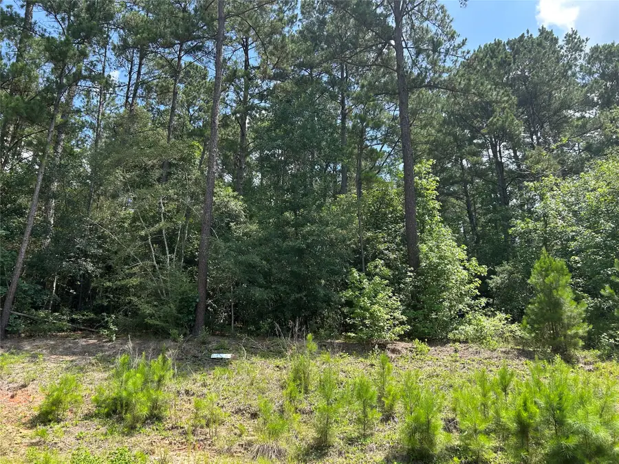 132 Tranquil Lane, Huntsville, TX 77340 - #3