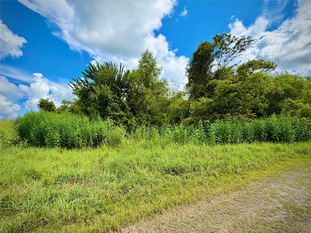 0 County Road 121 Off-nar, Alvin Pearland, TX 77584 - #1