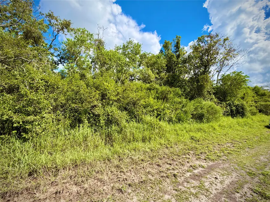 0 County Road 121 Off-nar, Alvin Pearland, TX 77584 - #3