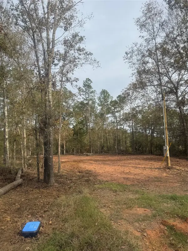 197 Alta Vista Drive, Livingston, TX 77351
