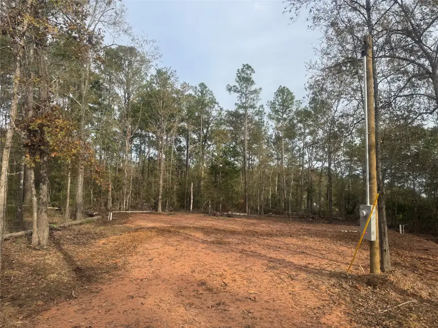 197 Alta Vista Drive, Livingston, TX 77351 - #2