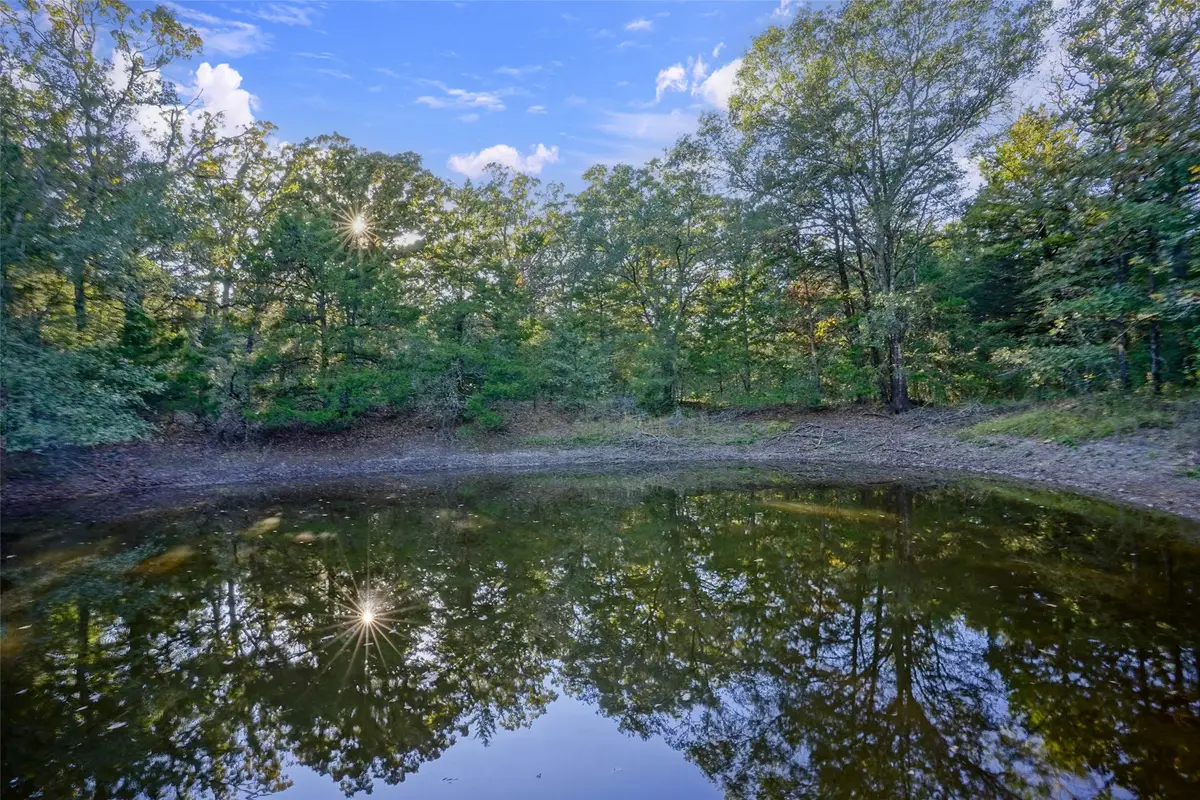 45 Acres Fcr 930, Teague, TX 75860 - #1