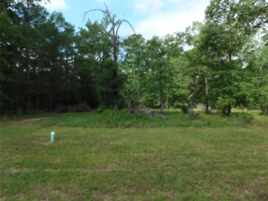 195 Moonlite Drive, Livingston, TX 77351 - #2
