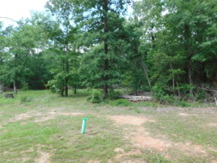 195 Moonlite Drive, Livingston, TX 77351 - #3