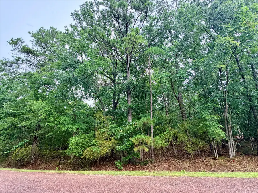 85 S Royale Greens Drive, Coldspring, TX 77331 - #3