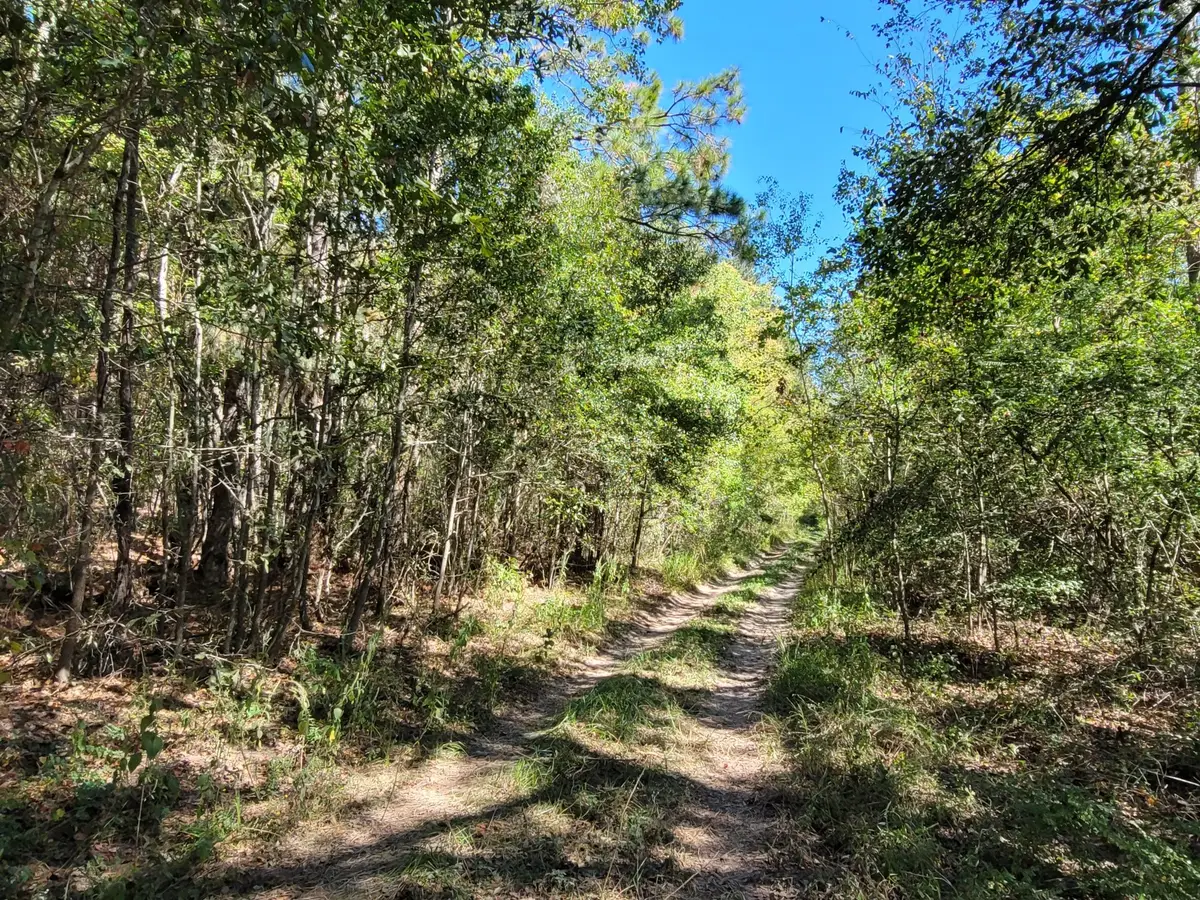 10785 Fm-2518, Cleveland, TX 77327 - #1