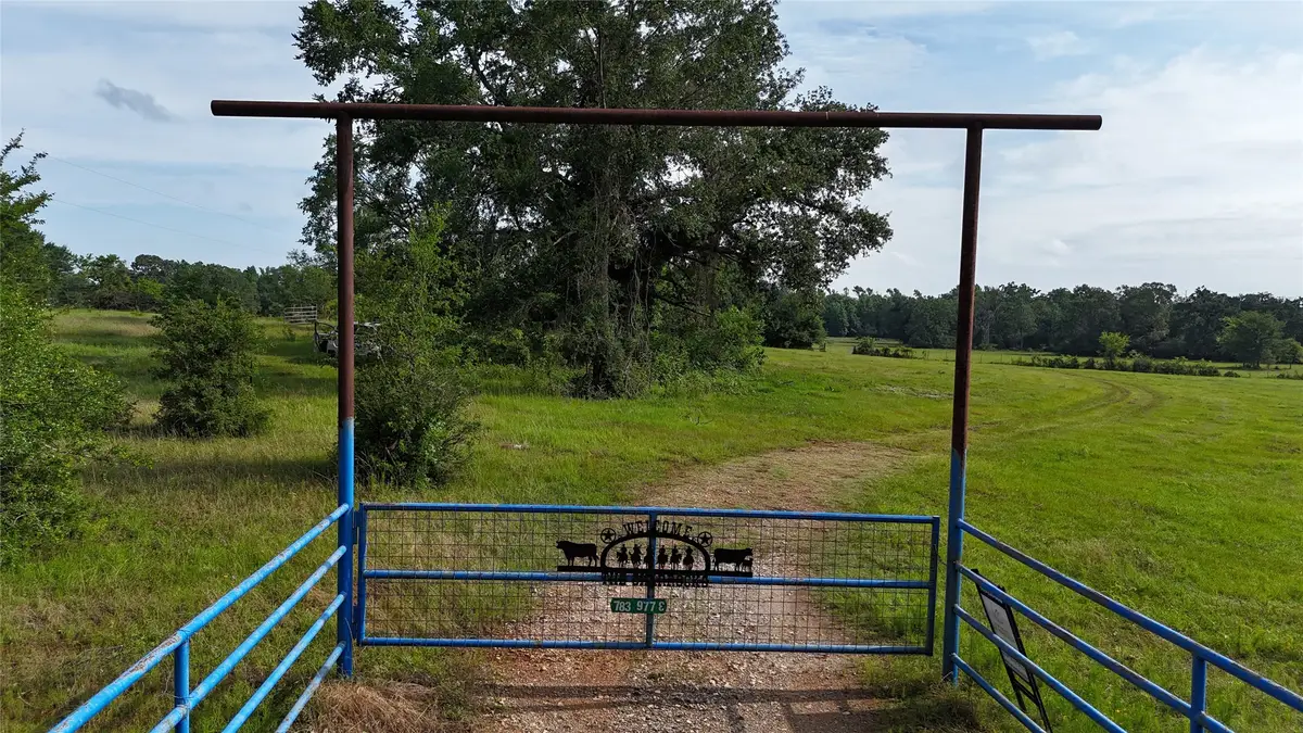 783 Fm 977 E, Leona, TX 75850 - #1